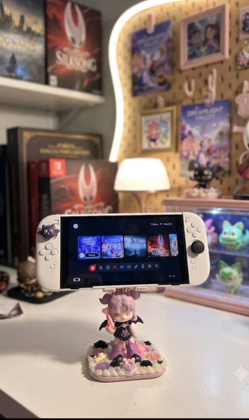 iPad / Phone Holder